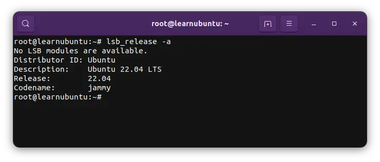 Checking Ubuntu version using ls_release -a command