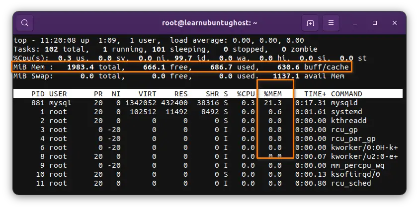 Check RAM in real time with top command in the terminal