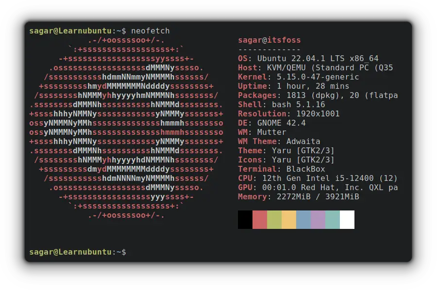 neofetch in ubuntu