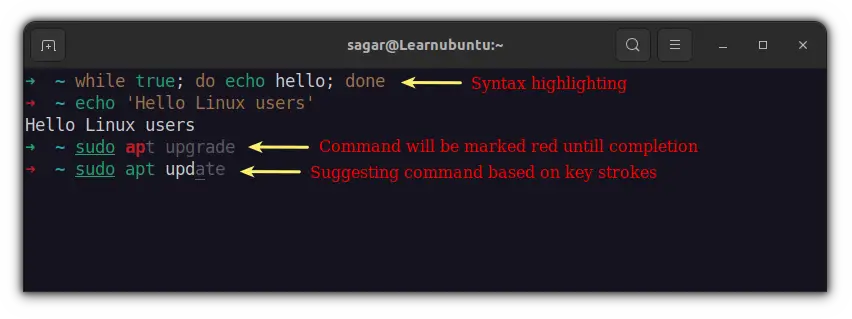 zsh syntax highlighting