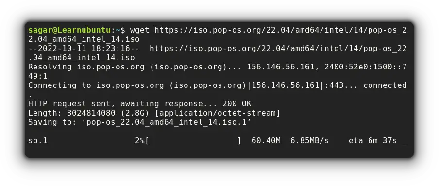 download files using wget