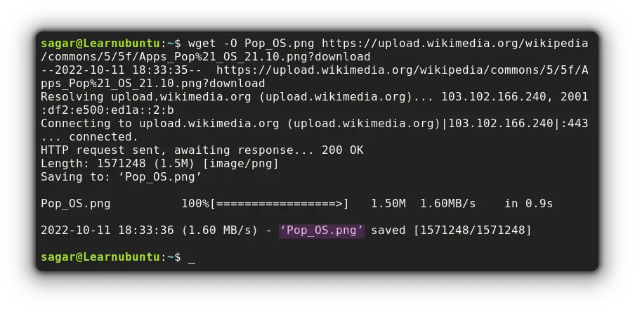download files with specific filenames using wget 