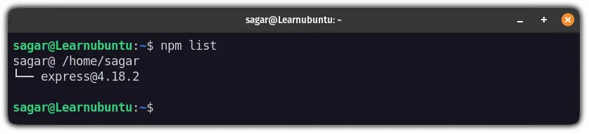 list installed npm packages in ubuntu