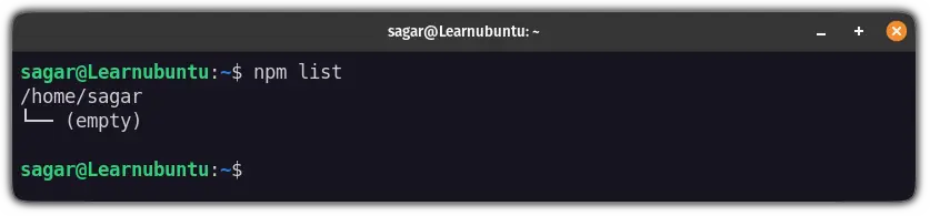 list npm packages in ubuntu