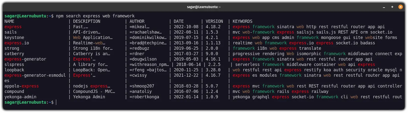 search npm packages in ubuntu