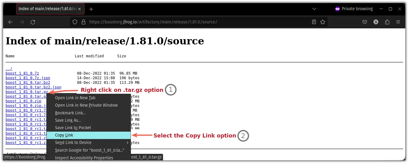 select .tar.gz option to install the boost library