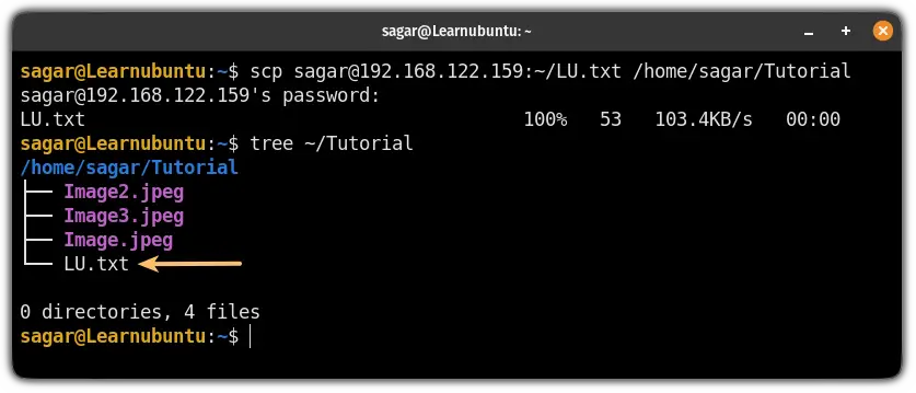 How to copy files from the remote to the local system  using the scp command 