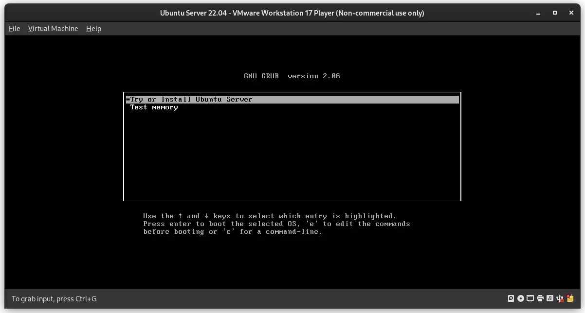 Initial GRUB screen while installing Ubuntun server in VMWare