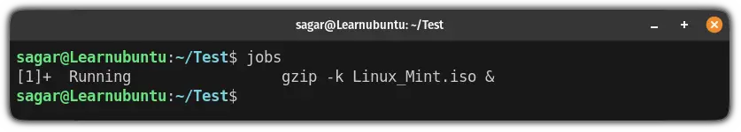 check running processes in background in Ubuntu terminal