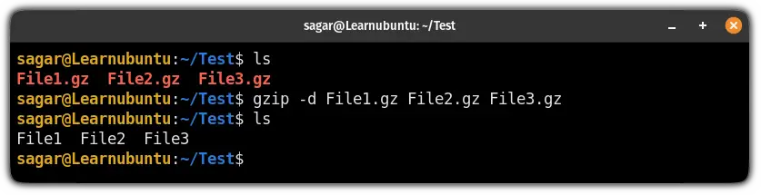 extract muliple gz files using the gzip command