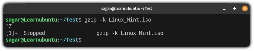 stop the on going process in ubuntu terminal