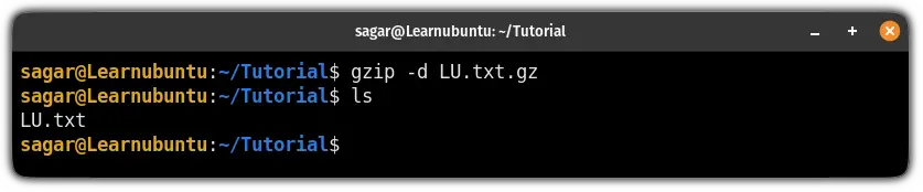 uncompress gz file using the gzip command in ubuntu