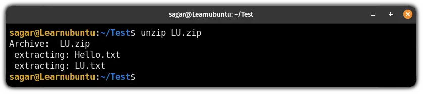 unzip files using the unzip command