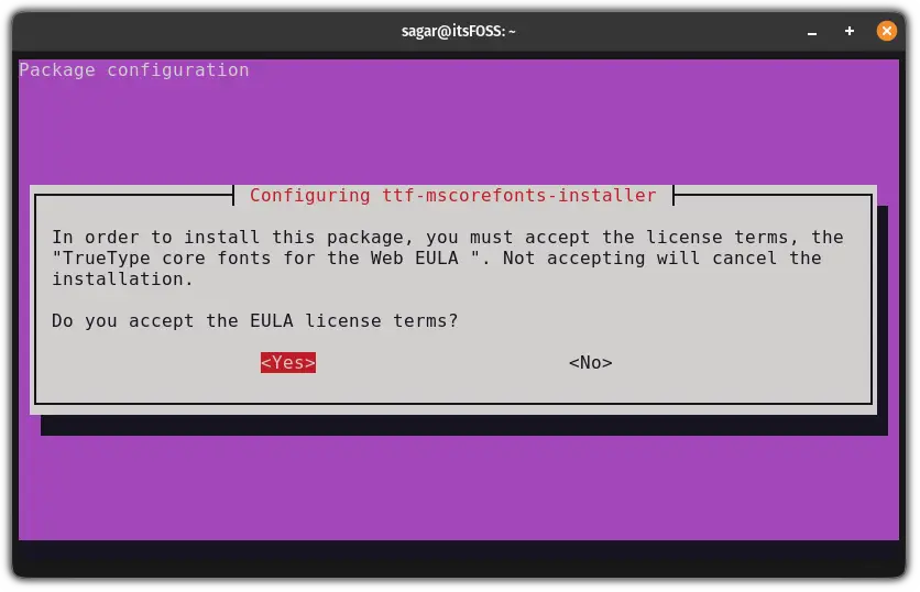 accept EULA licence to install ubuntu restricted extras package