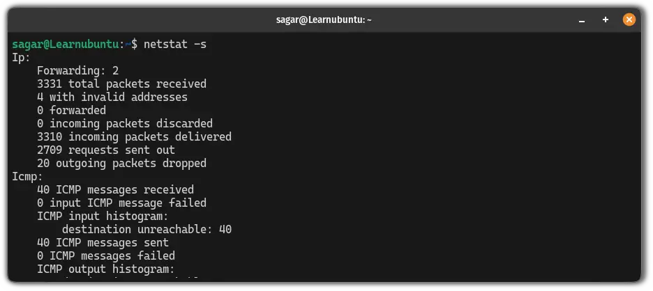 Get a statistical summary of each protocol using the netstat command in Ubuntu Linux