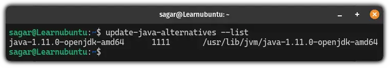 Get the list of installed versions of Java in Ubuntu