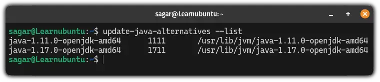 More than one version of Java installed in Ubuntu