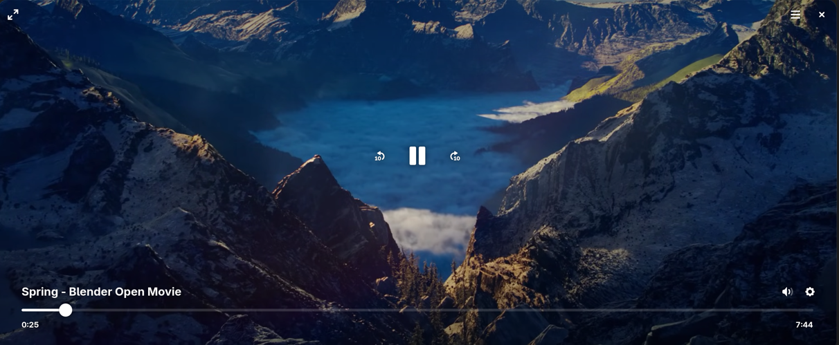 Showtime provides a modern, distraction-free interface that focuses entirely on a seamless viewing experience.