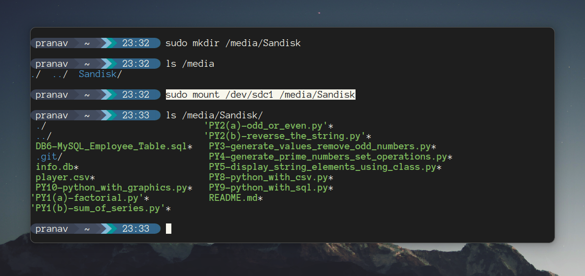 Mount Drives in Ubuntu Command Line