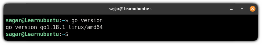 check the installed version of go programming language