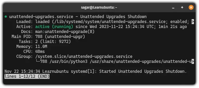 how-to-stop-ubuntu-auto-update